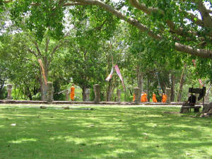 monks.jpg